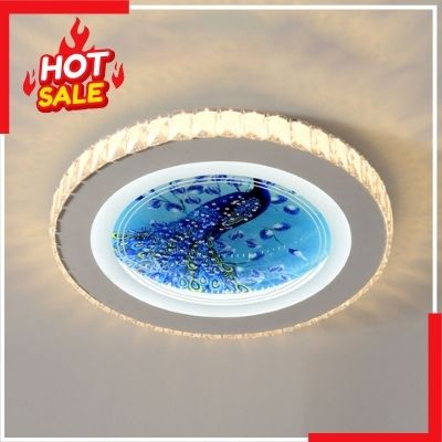 SLT- Đèn Ốp Trần Hiện Đại Ø500 | HS505